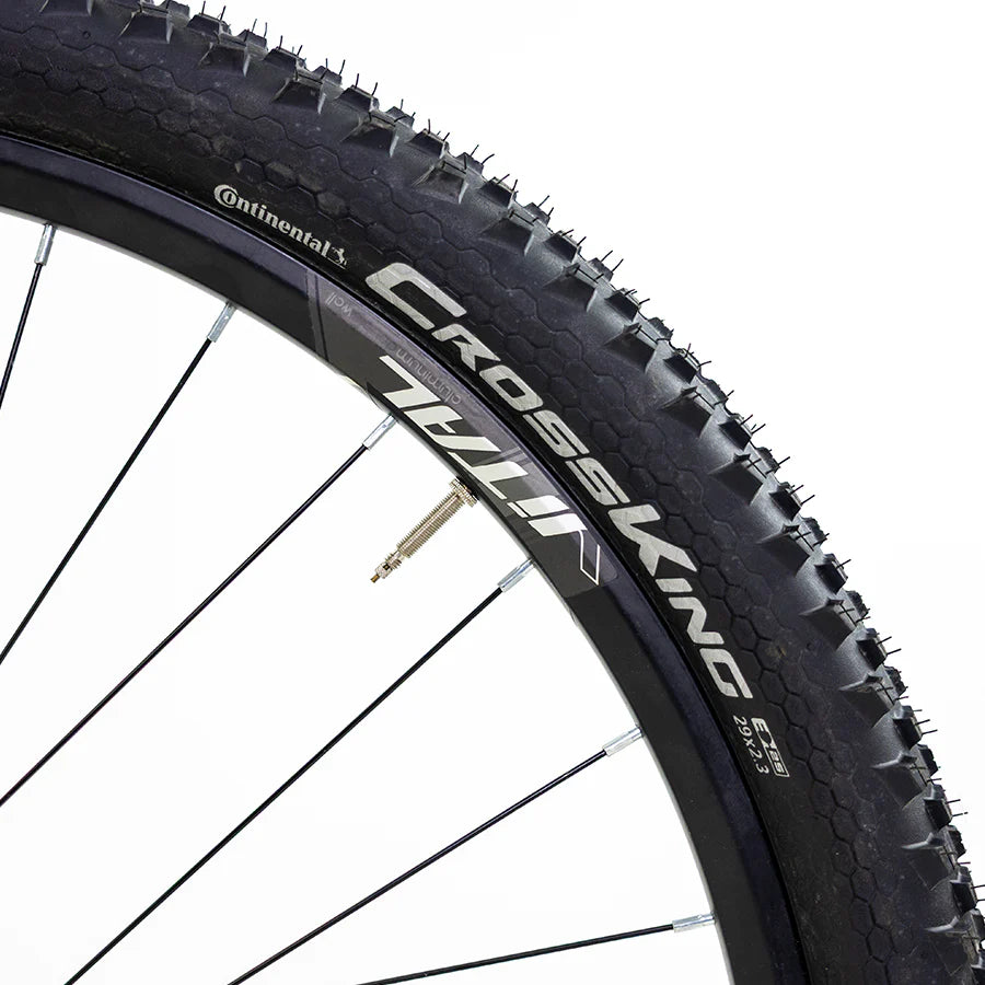 XTA 2.0 R29 (2025 / 2026)