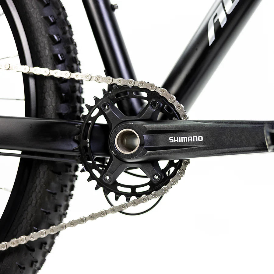 XTA 3.0 R29 (2025 / 2026)