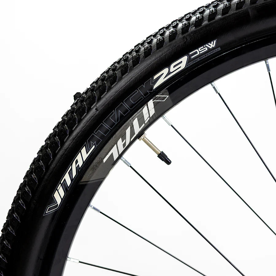 Sierra R29 (2025 / 2026)