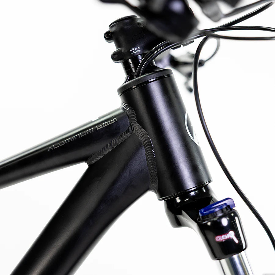 XTA 1.0 R29 (2025 / 2026)