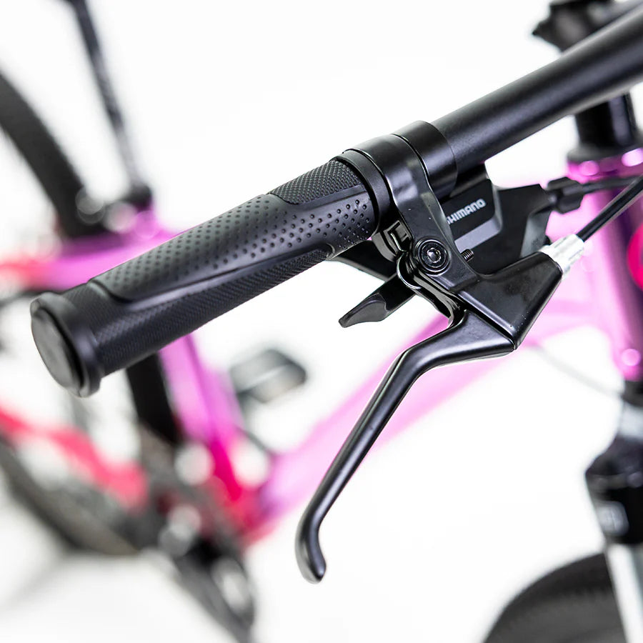 Sierra R24 (2025 / 2026)